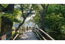 [국악와인열차] 10월 3,4일 정읍 내장산 수목원 / 고창 선운사 상사화