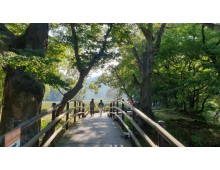 [국악와인열차] 10월 3,4일 정읍 내장산 수목원 / 고창 선운사 상사화