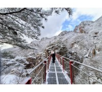 [국악와인열차] 2월 24일 완주 대둔산 케이블카+안심사 / 영동 와이너리