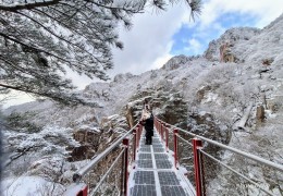 [국악와인열차] 2월 24일 완주 대둔산 케이블카+안심사 / 영동 와이너리