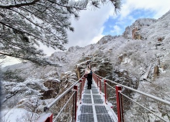 [국악와인열차] 2월 24일 완주 대둔산 케이블카+안심사 / 영동 와이너리
