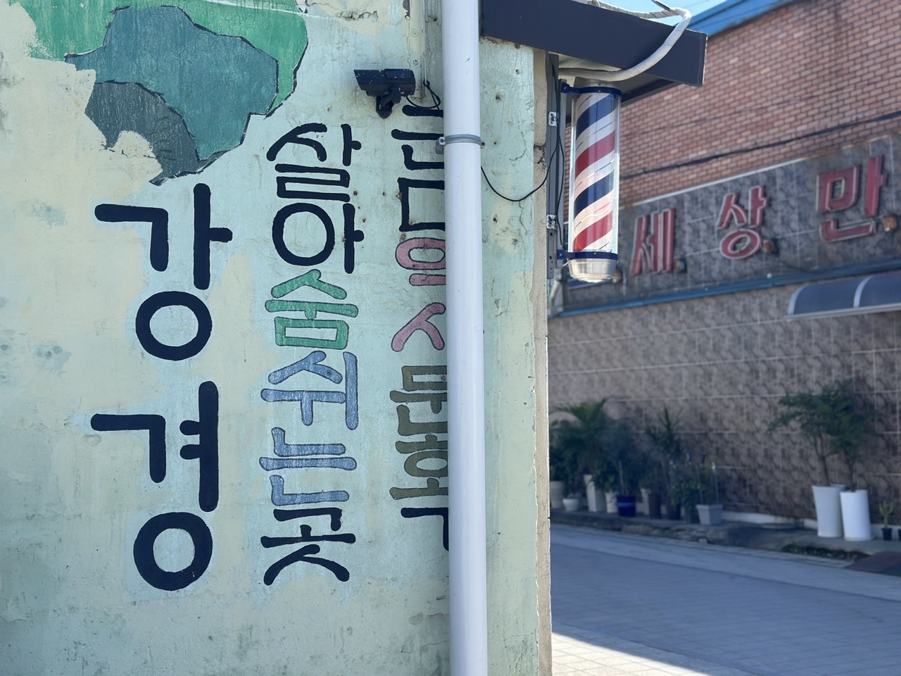 [국악와인열차] 10월 18일 강경젓갈축제 / 근대거리 자전거 투어 / 논산반야사