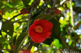 [국악와인열차] 12월 9,13일 영동 와이너리 / 완주 대둔산 케이블카