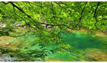 [국악와인열차] 7월 26일 남원 지리산 뱀사골 / 허브밸리 라벤더