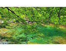 [국악와인열차] 7월 4,26일 남원 지리산 뱀사골 / 허브밸리 라벤더