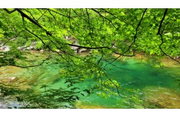 [국악와인열차] 7월 26일 남원 지리산 뱀사골 / 허브밸리 라벤더
