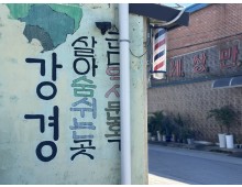 [국악와인열차] 10월 18일 강경젓갈축제 / 근대거리 자전거 투어 / 논산반야사