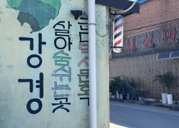 [국악와인열차] 10월 18일 강경젓갈축제 / 근대거리 자전거 투어 / 논산반야사