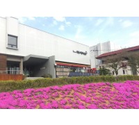 [국악와인열차] 3월 21일 고창 선운사 동백꽃 / 정읍사 문화공원+정읍시립미술관