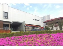 [국악와인열차] 3월 21일 고창 선운사 동백꽃 / 정읍사 문화공원+정읍시립미술관