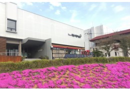 [국악와인열차] 3월 21일 고창 선운사 동백꽃 / 정읍사 문화공원+정읍시립미술관