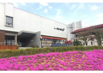 [국악와인열차] 3월 21일 고창 선운사 동백꽃 / 정읍사 문화공원+정읍시립미술관