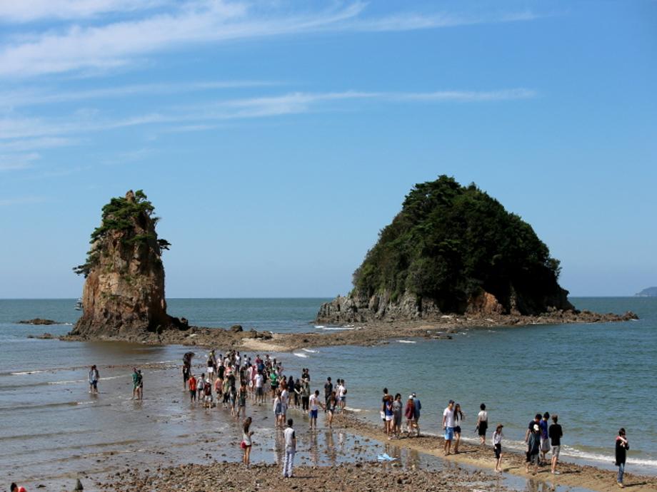 [국악와인열차] 5월 17일 2026 태안 국제원예치유박람회 / 상화원 / 대천해수욕장