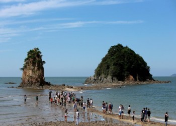 [국악와인열차] 5월 17일 2026 태안 국제원예치유박람회 / 상화원 / 대천해수욕장