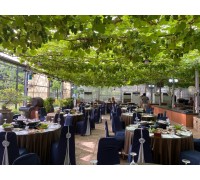 [팔도장터열차] 4월 11일(토) 영동 와이너리 투어 / 김천 직지사 벚꽃