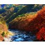 [ITX청춘] 양구 DMZ 두타연 평화누리길 가을 하루 기차여행