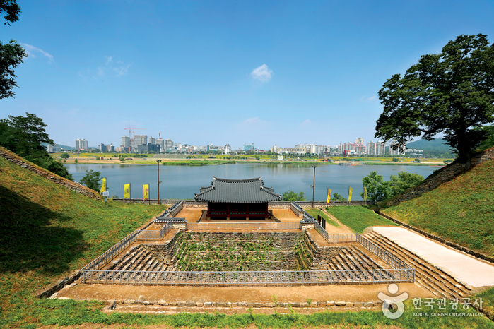 [팔도장터열차] 6월 27일(토) 공주 유구 색동수국정원 / 계룡산 동학사