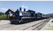 [팔도장터열차] 5월 24일(일) 곡성 세계장미축제 / 섬진강 기차마을 / 충의공원