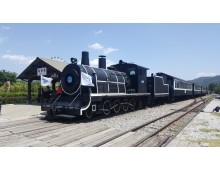 [팔도장터열차] 5월 24일(일) 곡성 세계장미축제 / 섬진강 기차마을 / 충의공원