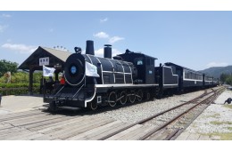 [팔도장터열차] 5월 24일(일) 곡성 세계장미축제 / 섬진강 기차마을 / 충의공원