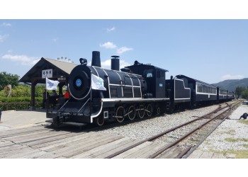 [팔도장터열차] 5월 24일(일) 곡성 세계장미축제 / 섬진강 기차마을 / 충의공원