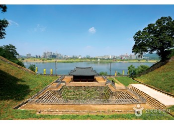 [팔도장터열차] 6월 27일(토) 공주 유구 색동수국정원 / 계룡산 동학사