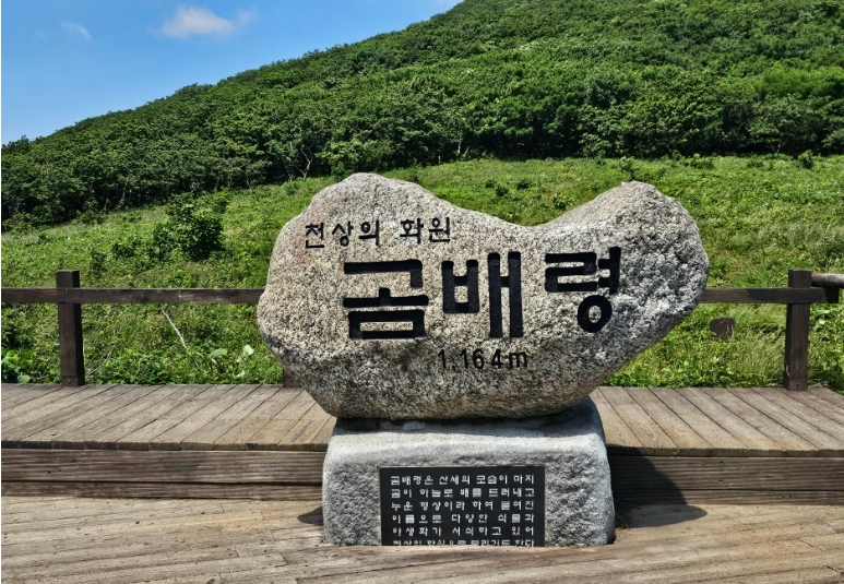 [ITX-청춘/1박2일] 4~10월(8월제외) 인제 곰배령 힐링트레킹+속초 ★사전예약할인★