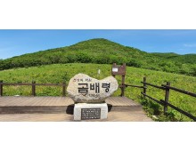 [ITX-청춘/1박2일] 4~10월(8월제외) 인제 곰배령 힐링트레킹+속초 ★사전예약할인★