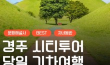 [KTX서울역/광명역/대전역] 경주 세계문화유산 시티투어 여행(당일)-태종무열왕릉/불국사/천마총/석굴암/분황사