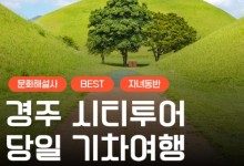 [KTX서울역/광명역/대전역] 경주 세계문화유산 시티투어 여행(당일)-태종무열왕릉/불국사/천마총/석굴암/분황사