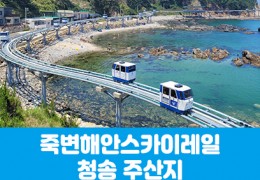[수도권/경기권/충청권/경상권출발] 죽변해안스카이레일&청송 주산지(당일)