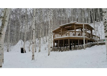 강원도 인제 자작나무숲* 홍천 수타사 당일 기차여행 (중식제공)