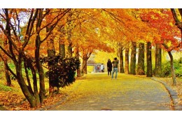 소백산 단풍 희방폭포+부석사 당일여행 @2식 제공