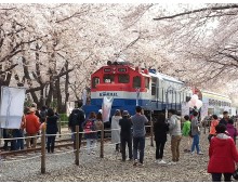 #5 [KTX] 진해 벚꽃+밀양 벚꽃+경주 벚꽃 1박2일 #밀양호텔아리나