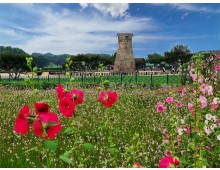 SRT [5월 연휴특선] 부울경 삼색기행 2박3일-경주/부산/울산 -울산 호텔 다움 2박
