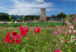 SRT [5월 연휴특선] 부울경 삼색기행 2박3일-경주/부산/울산 -울산 호텔 다움 2박