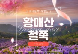 KTX - 국내 철쭉 3대 명산! 황매산 철쭉 & 함양상림숲 여행(당일)