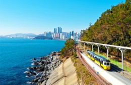 [경상권/충청권/수도권출발]★부산2코스★해운대 해변열차&용궁사(당일)