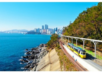 [경상권/충청권/수도권출발]★부산2코스★해운대 해변열차&용궁사(당일)