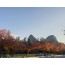KTX ◈단풍순례◈ 내장산 단풍&남도별미 2박3일_내소사/선유도/내장산/순창/임실 @전주시그니처호텔
