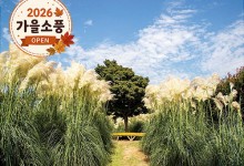◆가을맞이◆[무궁화호]꽃물결 태안 청산수목원+간월암+예산시장