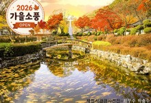◆가을맞이◆[KTX-당일]*석식제공*단풍명소 신흥강자!제천 배론성지+케이블카