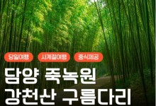 [KTX대전]담양죽녹원 & 메타세콰이어 & 강천산 구름다리 (당일)-8명부터