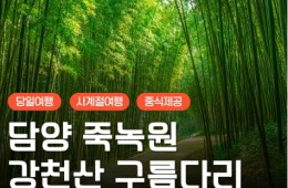 [KTX대전]담양죽녹원 & 메타세콰이어 & 강천산 구름다리 (당일)-8명부터
