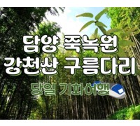 [KTX대전]담양죽녹원 & 메타세콰이어 & 강천산 구름다리 (당일)-8명부터