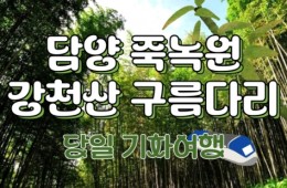 [KTX대전]담양죽녹원 & 메타세콰이어 & 강천산 구름다리 (당일)-8명부터