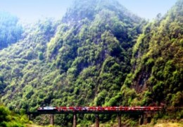 [A-train] 정선아리랑열차 + 시티투어버스1코스 + 레일바이크 패키지 [당일]