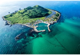 [7식제공]항공 - 제주도 가고싶다!! 원도심 투어 & 비양도 여행( 2박3일)