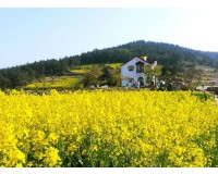 [KTX]청산도*완도*해남 대흥사 1박2일(청산도 내 숙박)