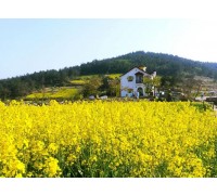 [KTX]청산도*완도*해남 대흥사 1박2일(청산도 내 숙박)